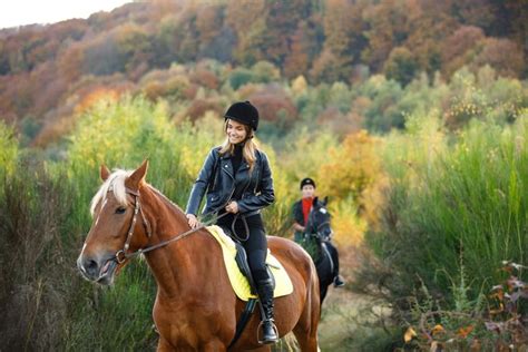 Visiter Le Parc Naturel R Gional Des Ardennes Guide Complet Parc