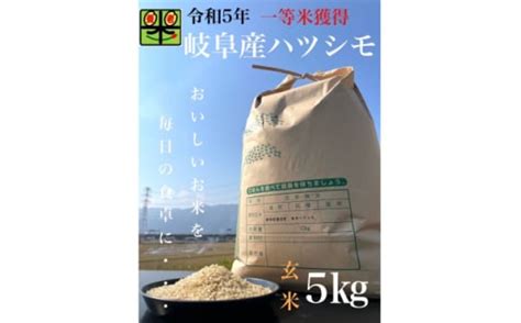 令和5年産岐阜ハツシモ 5kg 玄米【1148639】 Vふるさと納税