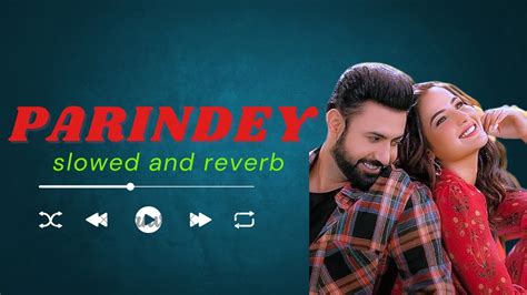 Parindey Slowed Reverb B Praak Jaani Gippy Grewal Sargun Mehta