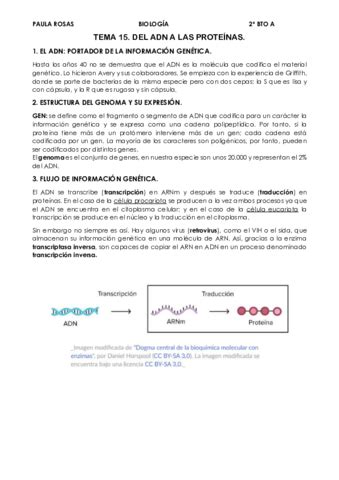 Tema Del Adn A Las Proteinas Pdf