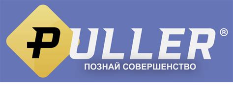 Тормозные колодки Puller - Home