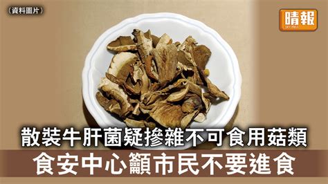 食用安全｜散裝牛肝菌疑摻雜不可食用菇類 食安中心籲市民不要進食 晴報 時事 要聞 D220725