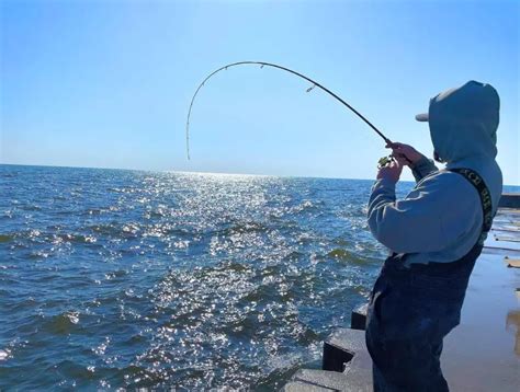 Lake Michigan Fishing: 3 Top Guides Tell You How And Where