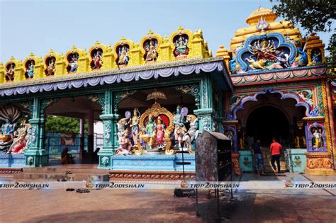 Ugratara Temple A Significant Shaktipitha Of Odisha Trip Odisha