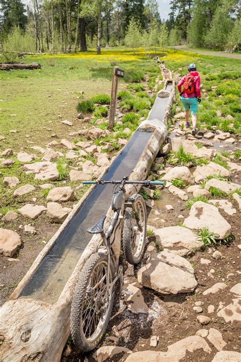 Oregon Timber Trail - BIKEPACKING.com