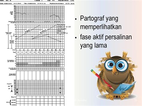 Contoh Kasus Persalinan Normal Beserta Partograf Karya Tulis Ilmiah