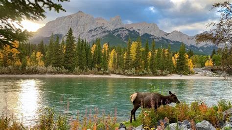 The 11 Best Canmore Hiking & Walking Trails - Banff National Park