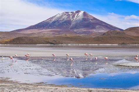 Bolivia Descubre Sus Maravillas Naturales Acontecimiento