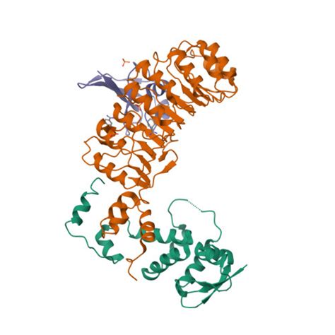 RCSB PDB 2ASS Crystal Structure Of The Skp1 Skp2 Cks1 Complex