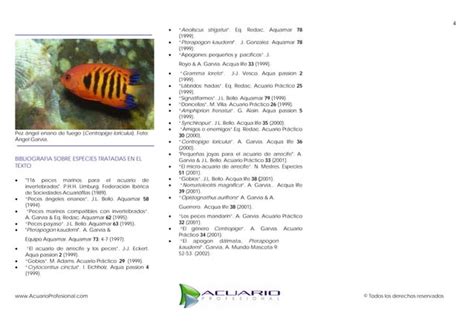 Peces Marinos Cien Ppt