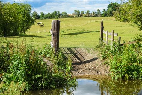 Open Gate To A Field At A Nature Reserve During A Warm Summer Day Stock