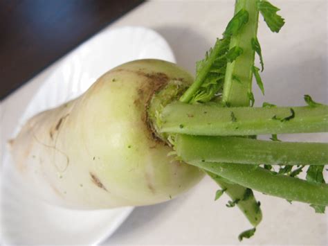 White Radish The Chinese Soup Lady