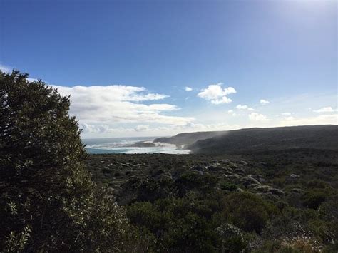 Cape Peninsula National Park Pictures - Traveler Photos of Cape Peninsula National Park, Western ...