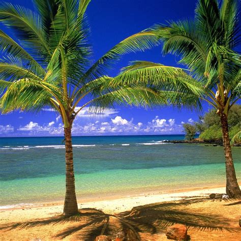 Tropical Paradise Wallpapers - Top Free Tropical Paradise Backgrounds ...