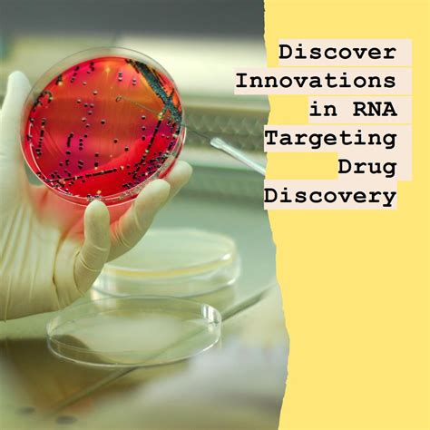 Unlocking Rna Targeting Small Molecule Drug Discovery Innovations In Hit Identification