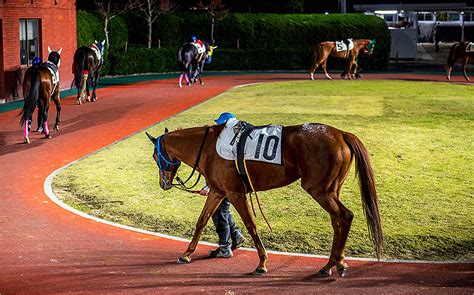 地方競馬 公式アプリ Spat4 に馬券投票機能を追加！ 大幅アップデートでより使いやすく直感的に、初心者にもおすすめ ｜ ガジェット通信