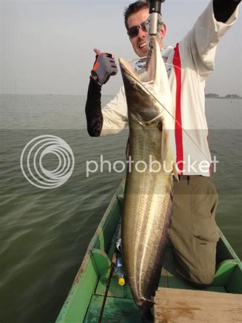 Ikan Tapah ( Wallago Attu) Wild Fishing Thailand By BKKGUY | Fishing - Fishwrecked.com - Fishing ...