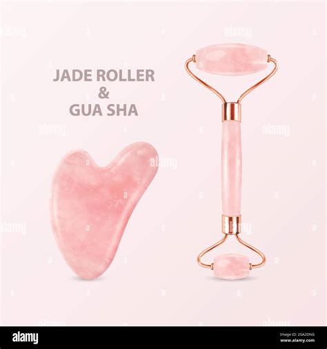 Vector D Realistic Jade Roller Gua Sha Scraping Massage Tool Set