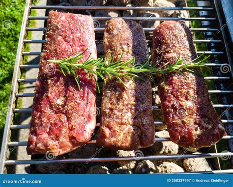 Rosemary lamb steaks stock image. Image of leaf, garlic - 258337997