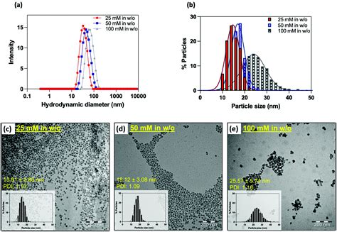 Functionalized Silica Nanoplatform As A Bimodal Contrast Agent For Mri