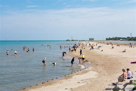 Montrose Dog Beach Y Lake Michigan Con Gente En El Centro De Chicago