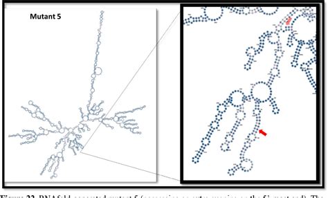 Figure 22 from Mapping the Effects of 5’ Untranslated Region Deletions ... 