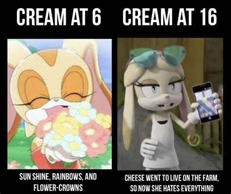 Cream The Rabbit Meme By 13comicfan On Deviantart