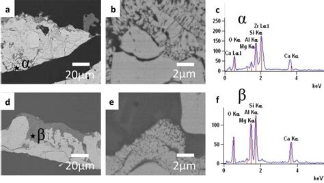 A D Bse Images Showing Cross Section Of Failed Aps Ysz Coatings