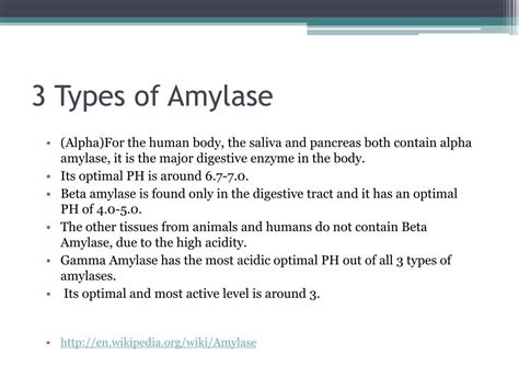 Amylase Types Of Amylase Basics Function Use Amylase Production A