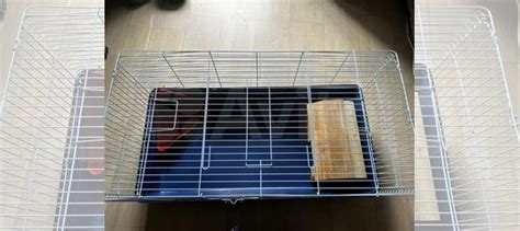 Клетка для кролика купить в Москве | Животные и зоотовары | Авито