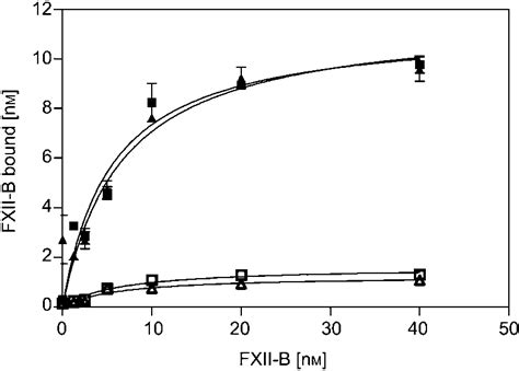 Binding Of FXII B To Human U 937 Monocytes Macrophages Increasing