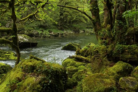 Doubs Fluss River Im Tal Des Doubs Doubstal Unterhal Flickr