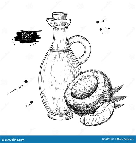 Bottle Of Coconut Oil Vector Hand Drawn Illustration Cooking And