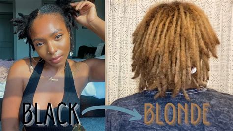 I Bleached My Locs At Home Black To Blonde Honey Blonde No Box Dye