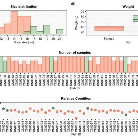 Graphical representation of the sample. (A) Histogram of the ...