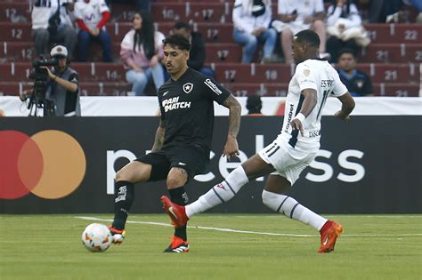 Botafogo Leva Gol Cedo E Perde Para A Ldu Na Estreia De Artur Jorge