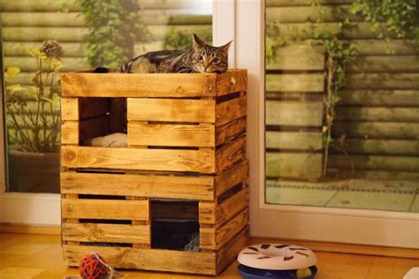 Diy Katzenhaus Aus Obstkisten Bauen