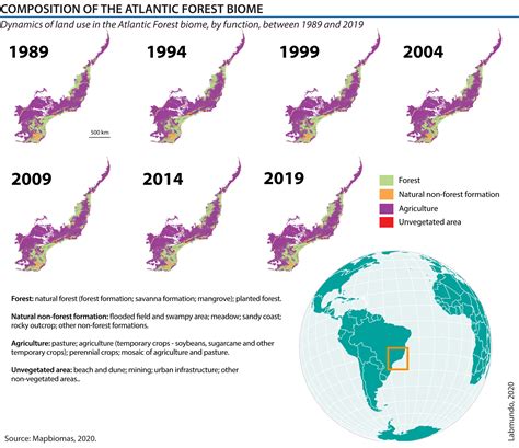 Composition Of The Atlantic Forest Biome Labmundo