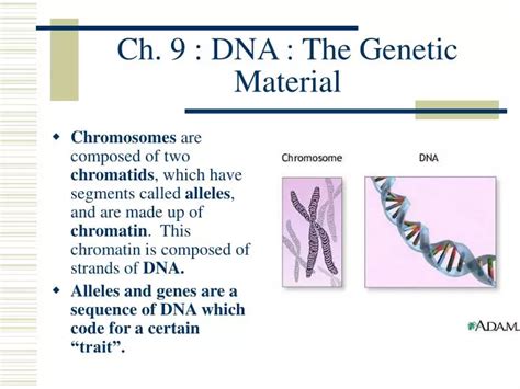 PPT Ch 9 DNA The Genetic Material PowerPoint Presentation Free