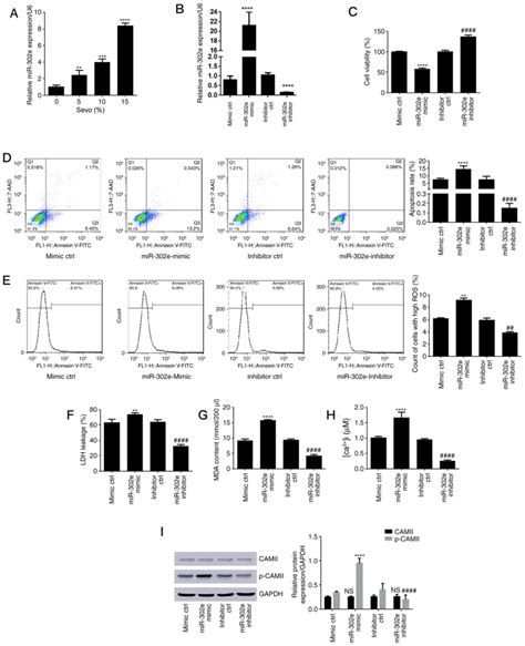 Sevofluraneinduced Neurotoxicity Is Driven By OXR1 Post