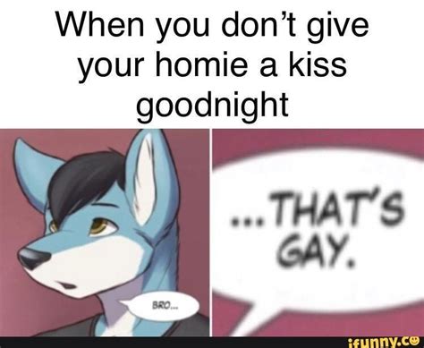 Furry Meme Male Furry Troll Funny Text Memes Furry Couple Kiss Goodnight Dumb People Girl