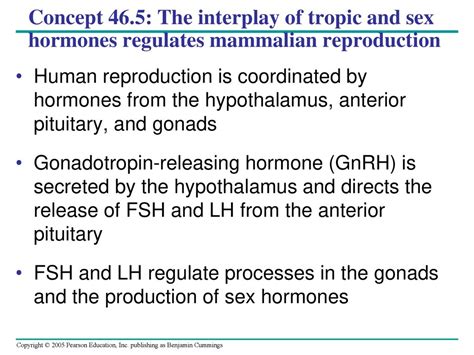 Chapter 46 Animal Reproduction Ppt Download