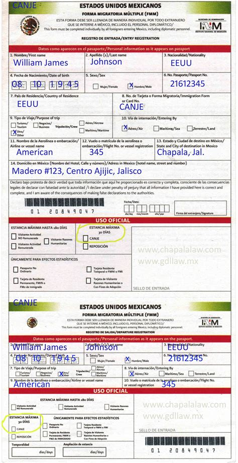 FMM sample filled Out Forms - Customs and Immigration - Chapala.com