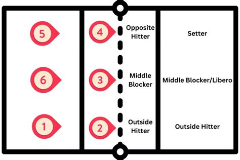 Volleyball 101: Volleyball Positions & Player Roles Explained ...