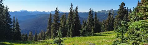 E. C. Manning Viewpoint Loop: 16 Reviews, Map - British Columbia ...