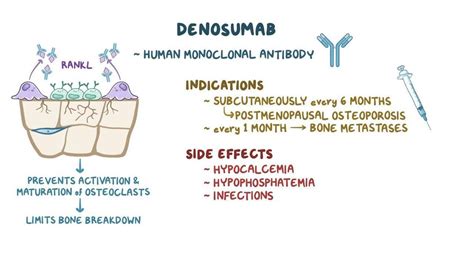 Osteoporosis medications: Video, Causes, & Meaning | Osmosis