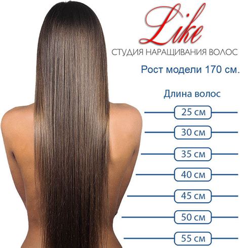 Сколько весят волосы?