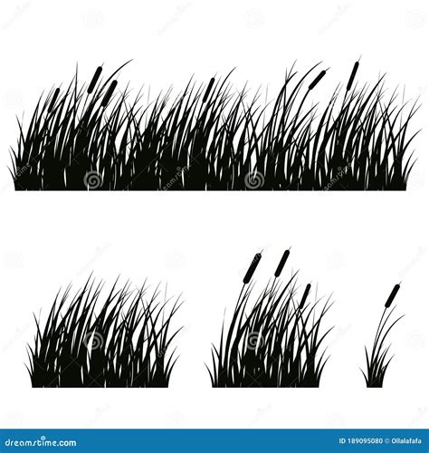 Beach Grass Silhouettes On White Stock Vector Illustration Of Plant