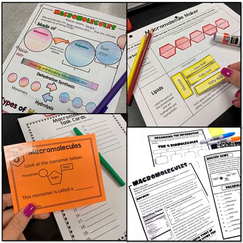 Macromolecules Lesson Plan Bundle ⋆ The Trendy Science Teacher