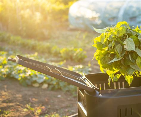 Compostage Chaud Un Guide Expert Sur La Fa On D Obtenir Du Compost